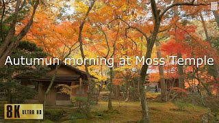 西芳寺　苔寺　Saiho-ji Moss temple