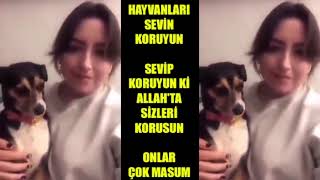 HAYVANLARI SEVİN KORUYUN Resimi