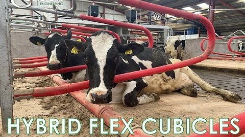 CONDON HYBRID FLEX CUBICLES IN ACTION!!