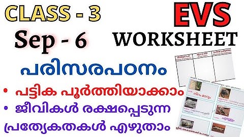 std - 3 EVS worksheet September - 6 | class - 3 worksheet പരിസരപഠനം | English & malayalam |