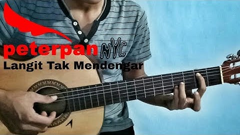 Tutorial Gitar Peterpan - Langit Tak Mendengar