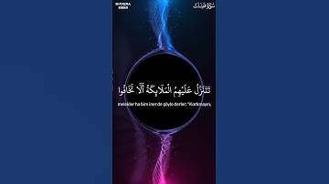 Yasser al Dosari || Fusillet Suresi || Surah Fussilat || سورة فصلت || ياسر الدوري #yasseraldossary