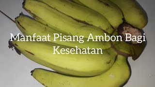 15 Manfaat Pisang Ambon Bagi Kesehatan | Sumber Besi untuk Anemia | Serat Pangan | Diet Berat Badan