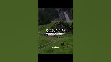 وَلَو فَتَحنا عَلَيهِم بابًا مِنَ السَّماءِ فَظَلّوا فيهِ يَعرُجونَ.. 💚☘️ || القارئ هزاع البلوشي 💤♥