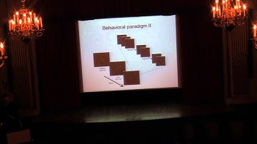 Conference: Neurotechniques, Prof. Winrich Freiwald