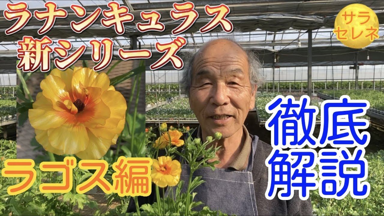 A thorough explanation of Sara Selene Lagos [Ranunculus School Bag