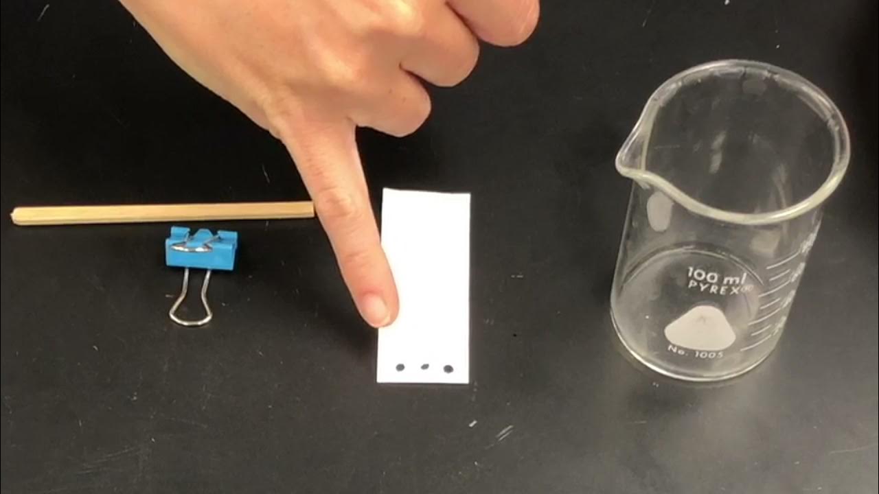 Forensic Science Chromatography YouTube