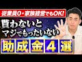 【2024年版】従業員0・家族経営・一人親方でも貰える助成金4選