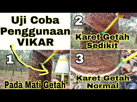 Uji Coba Penggunaan Vikar Pd Karet REM Pecah | Aplikasi Pd Mati Kulit, Getah Sedikit & Karet Normal