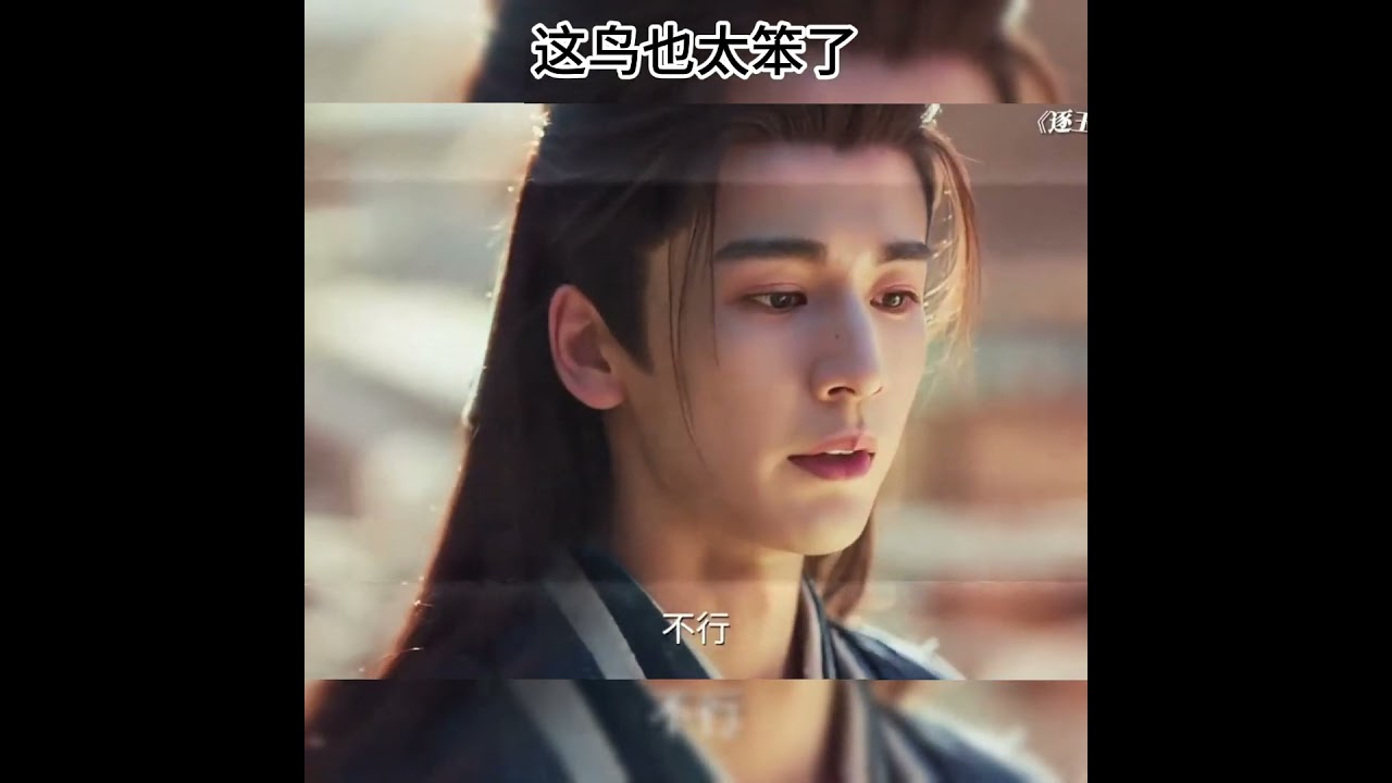 这鸟也太笨了 #搞笑 #精彩影视 #电视剧解说