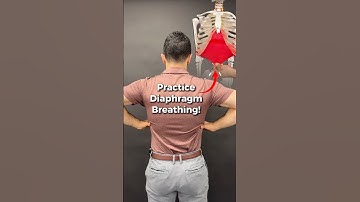 This is how to practice breathing properly with your diaphragm! #breathing #posture #diaphragm #pt