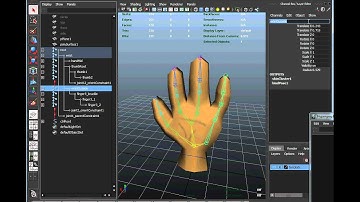 Maya hand modeling tutorial #8 - Painting Bone Weights