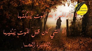 لا دار للمرء بعد المو.ت يسكنها الا التي كان قبل الموت يبنيها(الامام علي بن ابي طالب-رضي الله عنه)