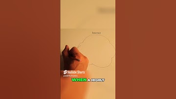 Bitcoin Flips Trust on its Head 🔄 #bitcoin