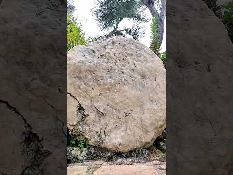 TUMBA DEL JARDIN