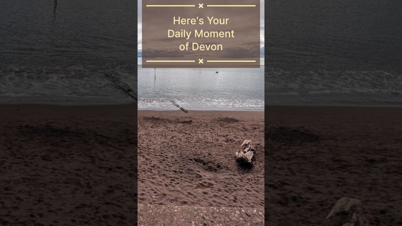 Your Daily Moment of Devon