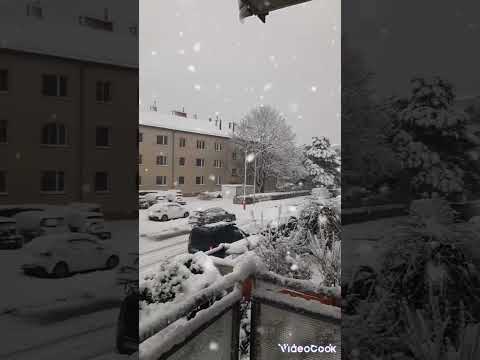 برف باری شدید در شهر وین