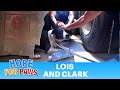 Saving Lois and Clark - two homeless Pit Bulls living in a truck yard - Please share.