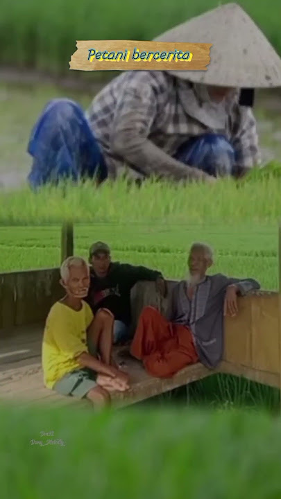Petani bercerita #storywa #CeritaCinta #petanimuda #petanitua #fypシ゚viral