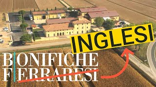 L'azienda agricola PIU' GRANDE D'ITALIA è INGLESE - Bonifiche Ferraresi