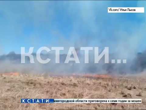 Сезонный поджог - из-за пала травы выгорают дачные домики