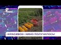 Столичные «киношники» оставили гору мусора после съёмок фильма на мысе Брюса