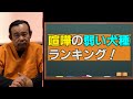 「パンク町田チョイス」犬の喧嘩番付 弱い犬は何? 超人気犬が続々ランク入り