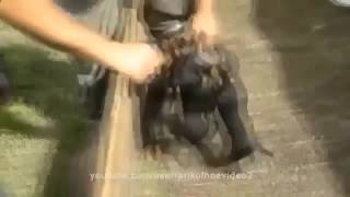 Солянка из приколов за 2015год! Улетные приколы!!! Солянка из приколов за 2015год! Улетные приколы!!!