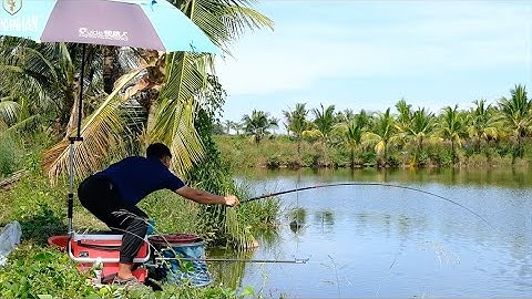 Câu Đài | Hồ 3 Gia Biện cá gì ăn lạ lắm ae!