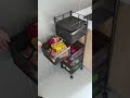 Video Image