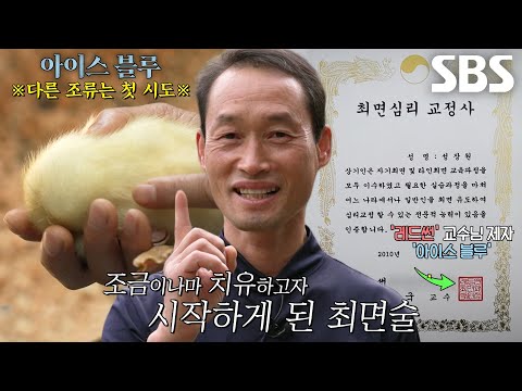 ‘본캐는 경찰관’ 닭 최면술사, <strong>최면</strong> 시작하게 된 이유★