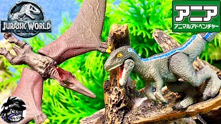 アニア ジュラシックワールド ベビーブルー&プテラノドン | Jurassic World ANIA animal adventure. Baby Blue & Pteranodon