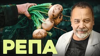 видео: РЕПА В чем польза репы картинка: РЕПА В чем польза репы