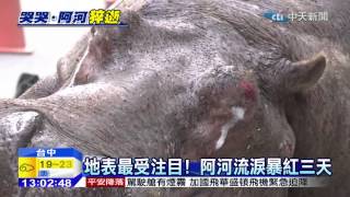 20141229中天新聞 地表最受注目! 阿河流淚暴紅三天
