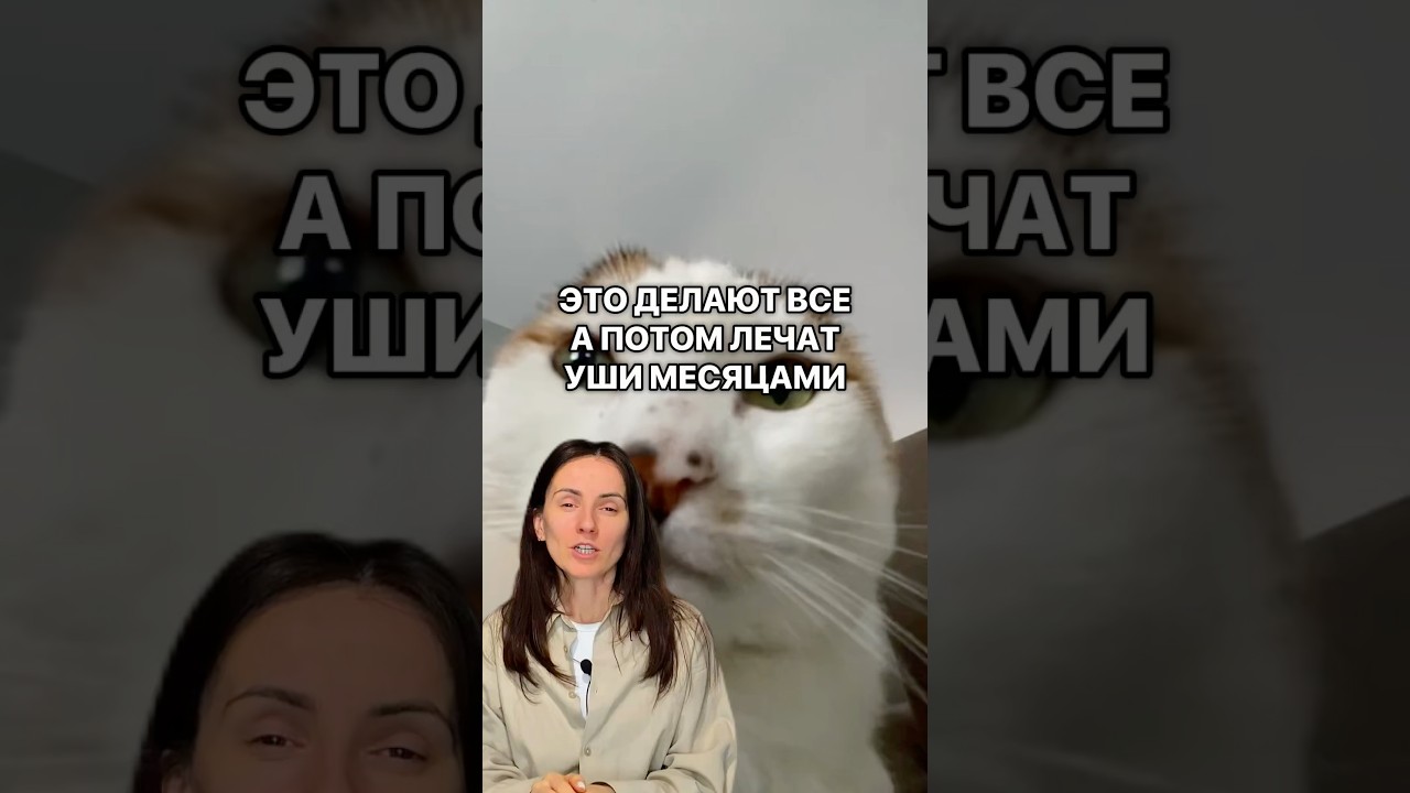 👁 Получи курсы, гайды, видео и разборы - сохрани здоровье кошки. По ссылке в профиле