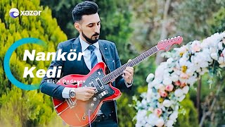 Nankör Kedi (yeni) gitara Elçin Dadaşov 2024 Resimi