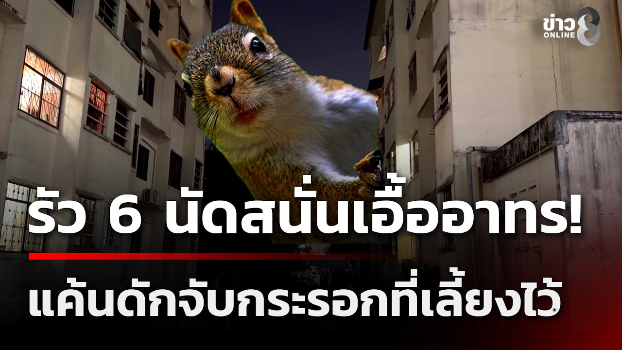 รัว 6 นัดสนั่นเอื้ออาทร! แค้นดักจับกระรอกที่เลี้ยงไว้ | 28 ก.พ. 69 | ข่าวใหญ่ช่อง8
