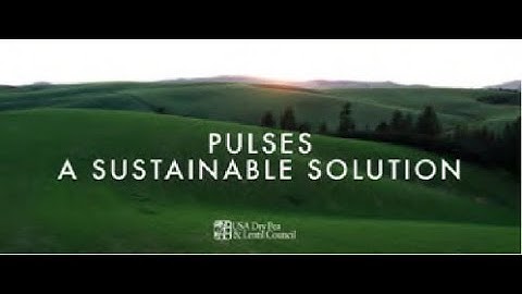 Pulse Crop Sustainability