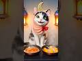 Dal O alu vhaji #cat #cute #cooking #comedy #food #funny #ramadan #pets #kids #kidsvideo #cutecat