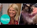 Holly Gets a Lesson in How to Groom Her Cat | This Morning