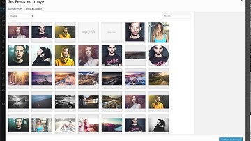 Simple Article - Creting blog and category filter