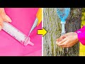 Camping Hacks That Will Make Your Outdoor Adventures Unforgettable!