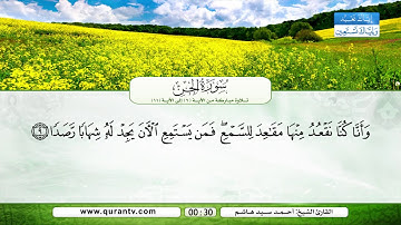 القارئ الشيخ أحمد سيد هاشم