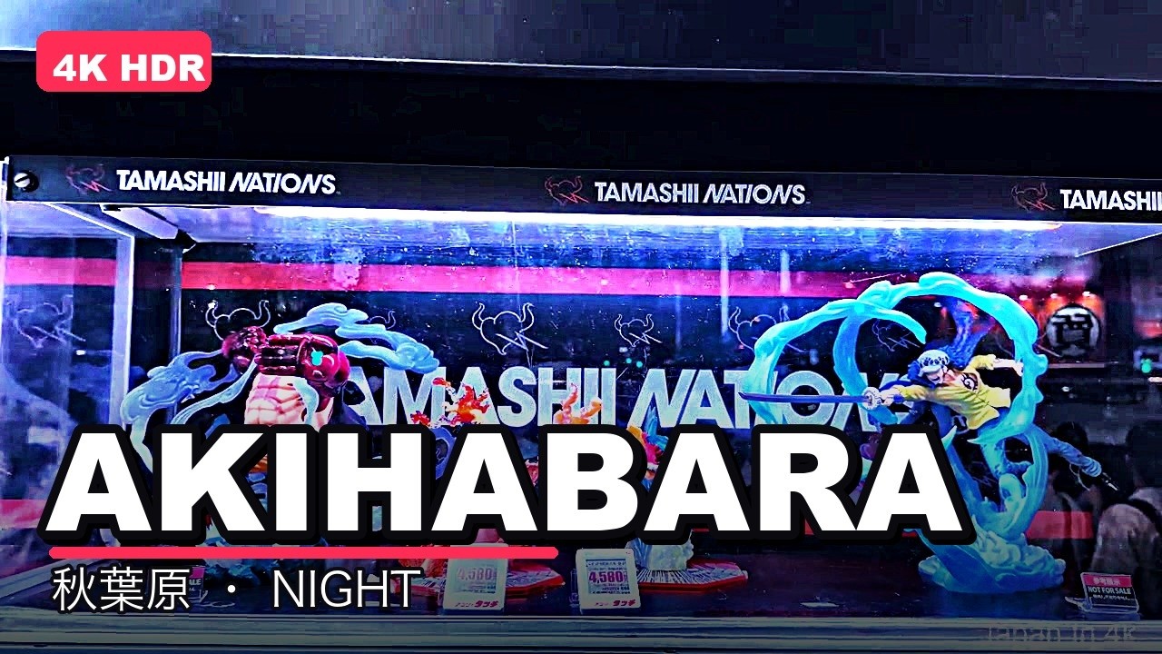 Akihabara Night Walk, Electric Town Tour, a frame from the walk