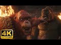 Kong meets skar king  full scene 4k  godzilla x kong the new empire