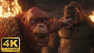 Kong meets Skar King  Full Scene 4K  Godzilla x Kong: The New Empire