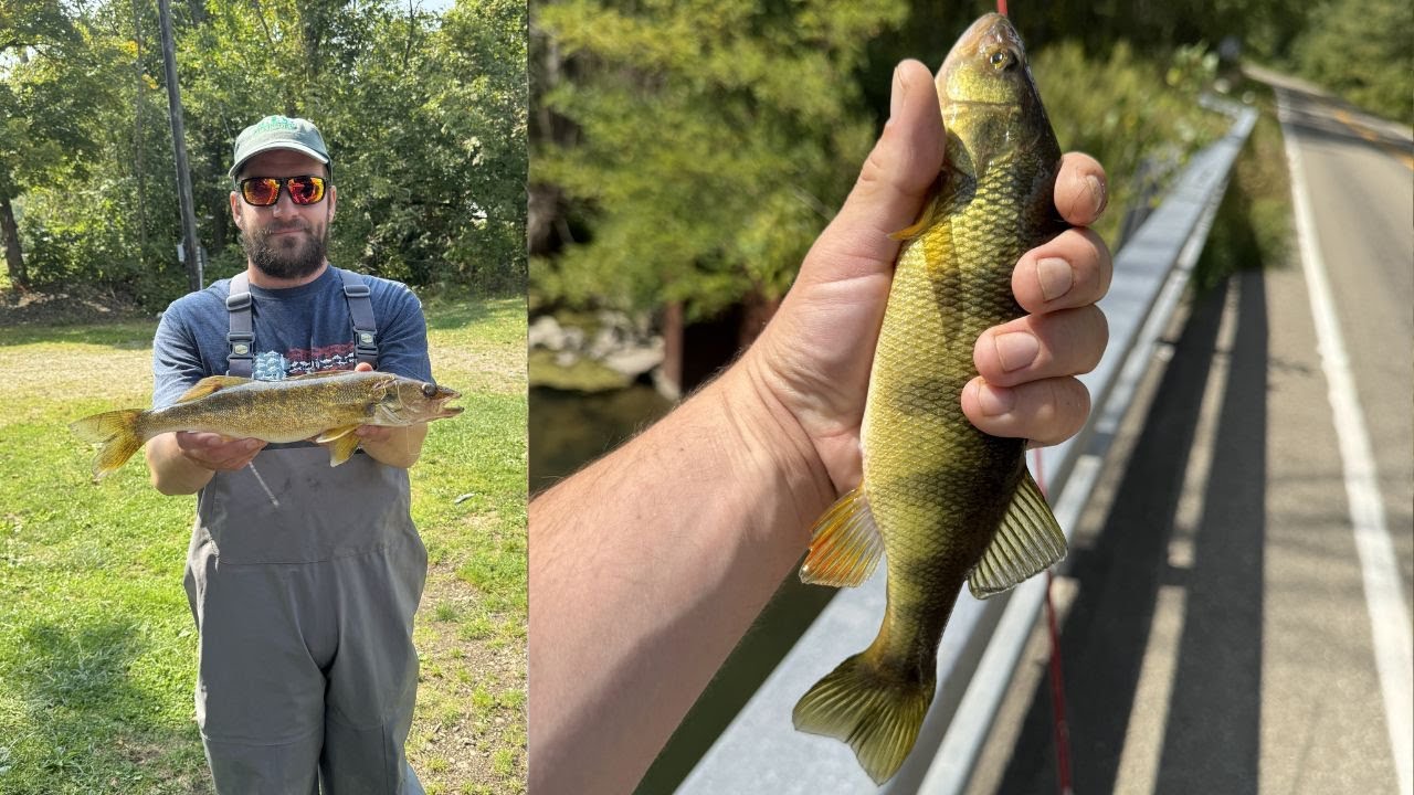 Предварительная рыбалка на окуня, окуня и судака