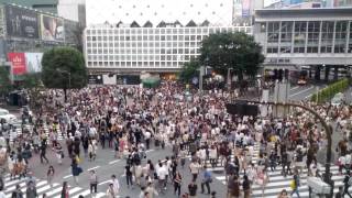 Shibuya Crossing, Tokyo (view from Starbucks)