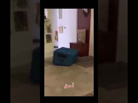 امرأة تقتل زوجها في حقيبة سفر