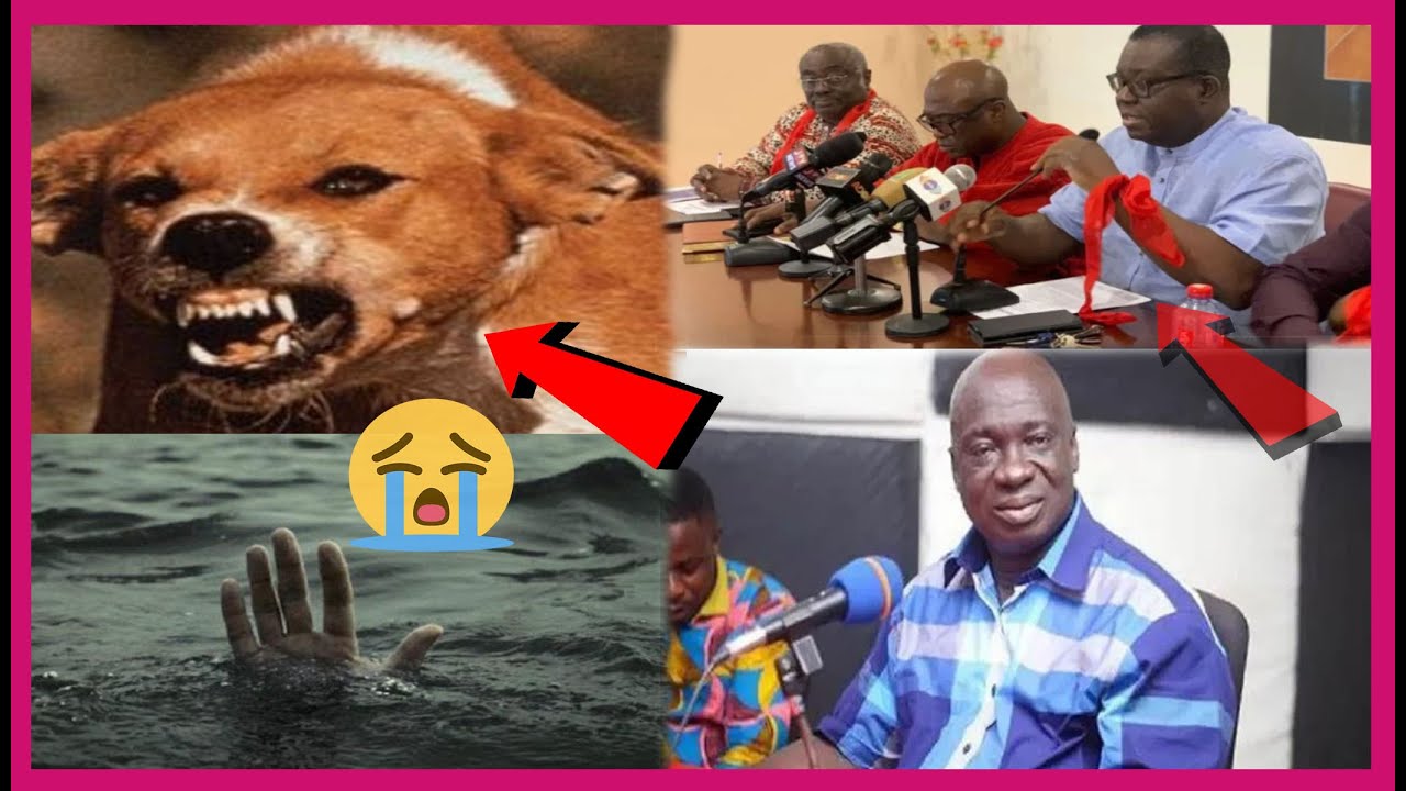 TRAGIC AS RABIES K!LLS 2 IN ASHANTI REGION AND SAD NEWS TO HIT ...
